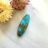 Large Ocean Blue Surfboard Ithaca Peak Turquoise Background