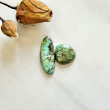 Medium Sea Green Mixed Bamboo Mountain Turquoise, Set of 2 Background