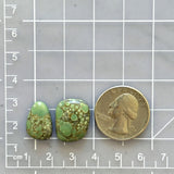 Medium Sea Green Mixed Bamboo Mountain Turquoise, Set of 2 Dimensions