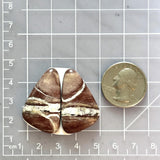Large Red Triangle White Buffalo Dolomite, Set of 2 Dimensions