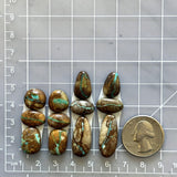 Small Faint Green Mixed Royston Turquoise, Set of 12 Dimensions