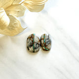 Medium Pale Brown Freeform Royston Turquoise, Set of 2 Background