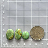 Medium Sea Green Mixed Treasure Mountain Turquoise, Set of 3 Dimensions