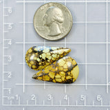 Large Royal Orange Teardrop Giraffe Turquoise, Set of 2 Dimensions
