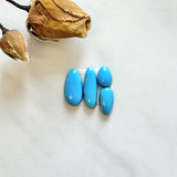 Small Sky Blue Mixed Sleeping Beauty Turquoise, Set of 4 Background