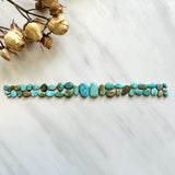 Small Mixed Mixed Lone Mountain Turquoise, Set of 41 Background