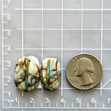 Medium Pale Brown Freeform Royston Turquoise, Set of 2 Dimensions