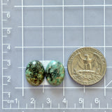 Small Sea Green Oval Crescent Lake Variscite, Set of 2 Dimensions