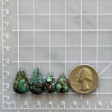 Small Sea Green Teardrop Wild Horse Turquoise, Set of 4 Dimensions
