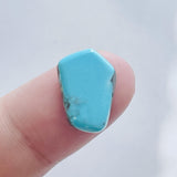 L17 x W12 x H4 Sky Blue Freeform Bisbee Turquoise Background