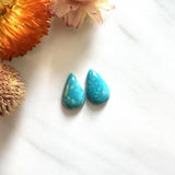 Small Sky Blue Teardrop Fox Turquoise, Set of 2 Background