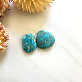 Large Ocean Blue Freeform Fox Turquoise, Set of 2 Background