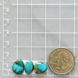 Small Sky Blue Freeform Kingman Turquoise, Set of 3 Dimensions