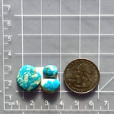 Small Sky Blue Freeform Royston Turquoise, Set of 3 Dimensions