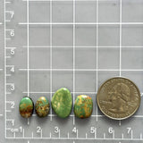 Small Sea Green Mixed Royston Turquoise, Set of 4 Dimensions