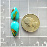 Medium Sky Blue Teardrop Ithaca Peak Turquoise, Set of 2 Dimensions
