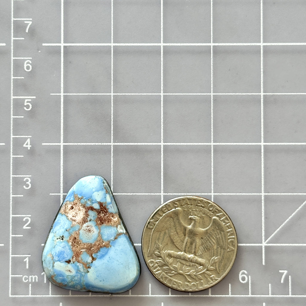 Large Sky Blue Freeform Golden Hills Turquoise - Turquoise Moose