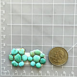 Small Sky Blue Mixed Lone Mountain Turquoise, Set of 15 Dimensions