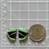 Medium Sea Green Freeform Crescent Lake Variscite, Set of 2 Dimensions