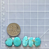 Medium Sky Blue Freeform Kingman Turquoise, Set of 5 Dimensions
