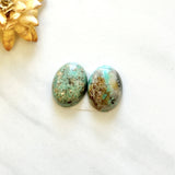 Medium Faint Green Oval Broken Arrow Variscite, Set of 2 Background