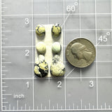 Small Light Yellow Mixed Crescent Lake Variscite, Set of 6 Dimensions