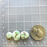 Small Faint Green Mixed Crescent Lake Variscite, Set of 3 Dimensions
