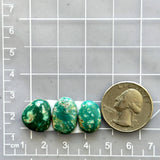 Small Deep Green Mixed Fox Turquoise, Set of 3 Dimensions