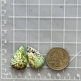 Medium Mint Green Teardrop Treasure Mountain Turquoise, Set of 2 Dimensions