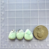 Small Faint Green Mixed Crescent Lake Variscite, Set of 3 Dimensions