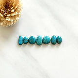 Small Sky Blue Mixed Fox Turquoise, Set of 7 Background