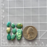Small Deep Green Mixed Fox Turquoise, Set of 8 Dimensions