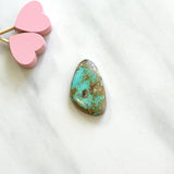 Large Mint Green Freeform Royston Turquoise Background