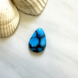 Large Sky Blue Teardrop Prince Egyptian Turquoise Background