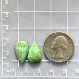 Small Sea Green Teardrop Namtso Lake Turquoise, Set of 2 Dimensions