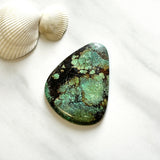 Large Sea Green Freeform Yungai Turquoise Background