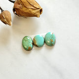Small Mixed Mixed Royston Turquoise, Set of 3 Background