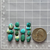 Small Ocean Blue Mixed Fox Turquoise, Set of 13 Dimensions