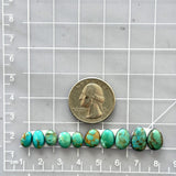 Small Sea Green Mixed Tyrone Turquoise, Set of 10 Dimensions
