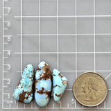 Medium Sky Blue Freeform Golden Hills Turquoise, Set of 3 Dimensions