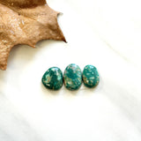 Small Deep Green Mixed Fox Turquoise, Set of 3 Background