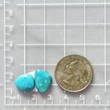 Small Sky Blue Freeform Sleeping Beauty Turquoise, Set of 2 Dimensions