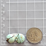 Small Faint Blue Round Treasure Mountain Turquoise, Set of 2 Dimensions
