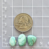 Medium Mint Green Mixed Broken Arrow Variscite, Set of 3 Dimensions