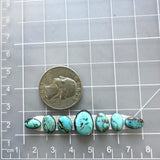 Small Sky Blue Mixed Sleeping Beauty Turquoise, Set of 7 Dimensions