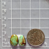 Medium Mint Green Mixed Number 8 Turquoise, Set of 2 Dimensions