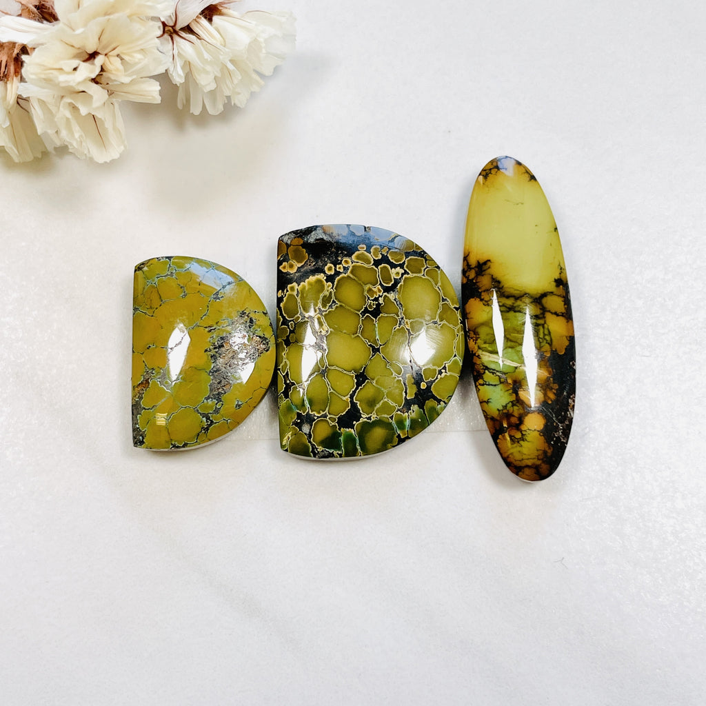 Large Earth Brown Mixed Treasure Mountain Turquoise, Set of 3