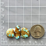 Medium Sky Blue Freeform Royston Turquoise, Set of 3 Dimensions