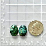 Medium Deep Green Oval Crescent Lake Variscite, Set of 2 Dimensions