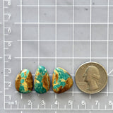 Medium Sea Green Freeform Royston Turquoise, Set of 3 Dimensions